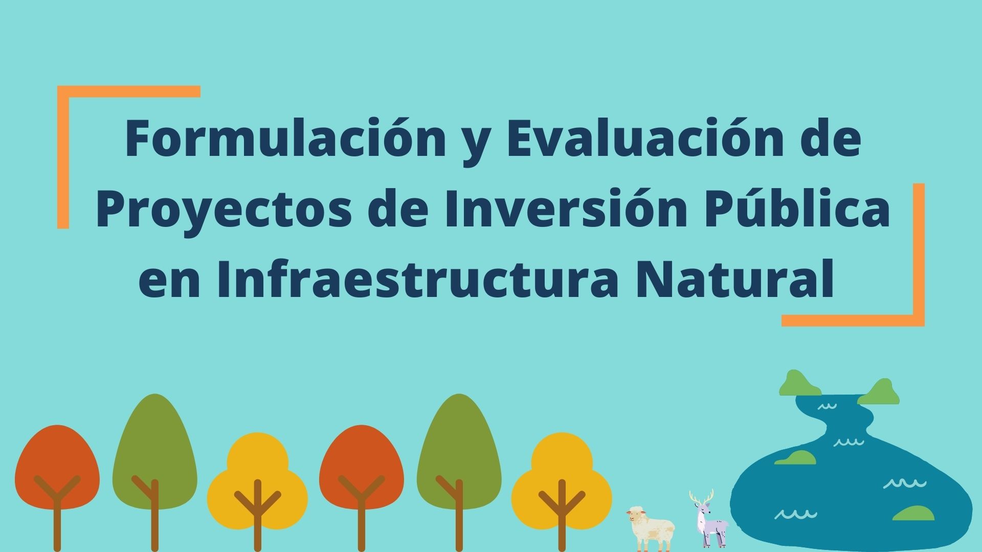 Curso de Especialización de Formulación y Evaluación de Proyectos de Inversión Pública en Infraestructura Natural