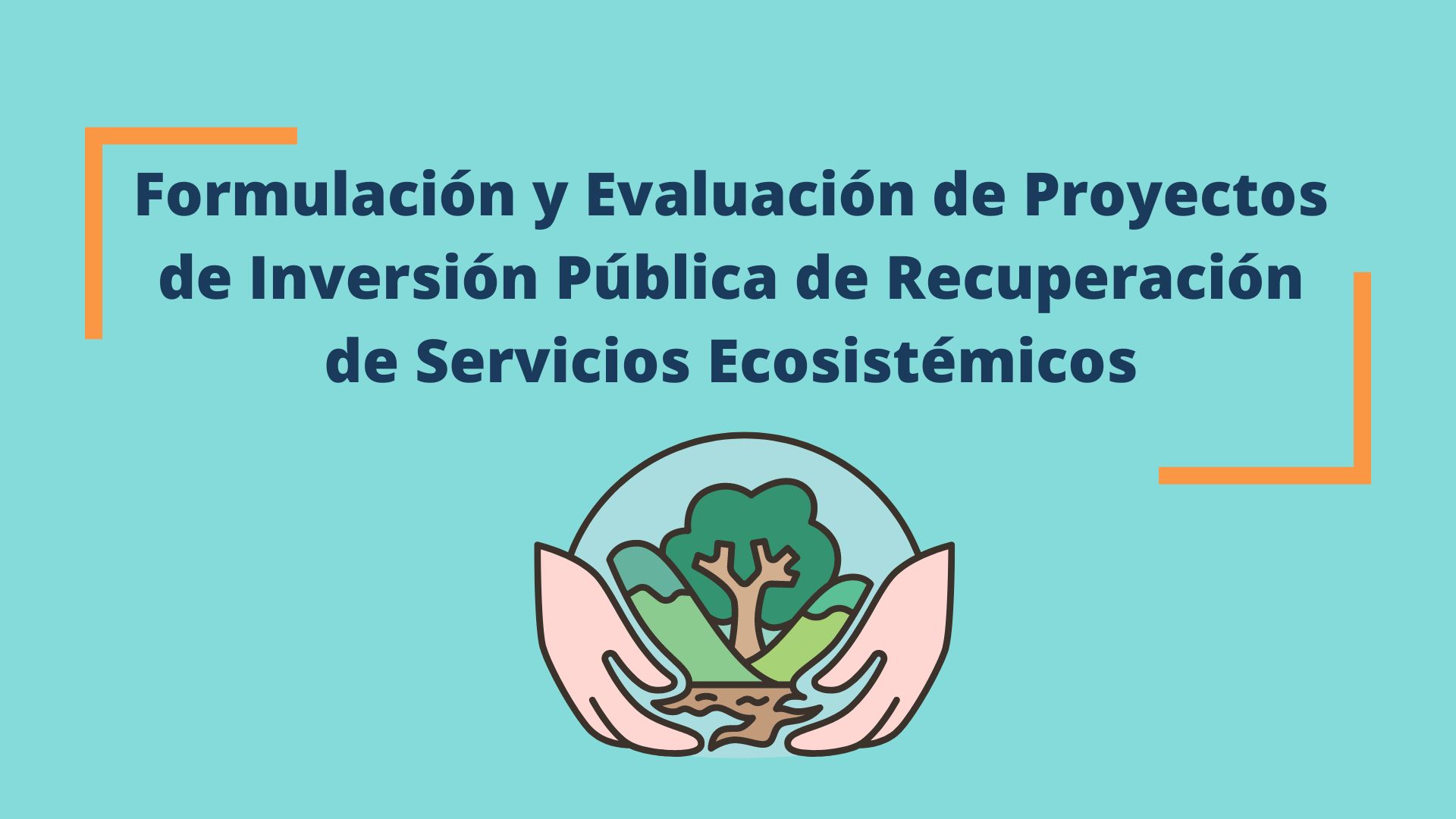 Curso de Especialización en Formulación y Evaluación de Proyectos de Inversión de Recuperación de Servicios Ecosistémicos