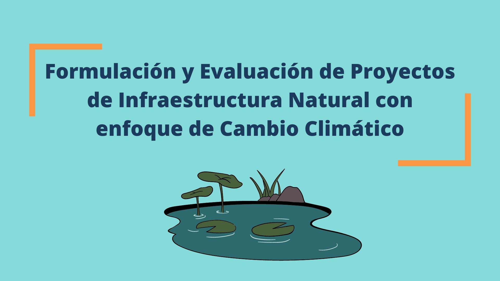 Curso de Especialización en Formulación y Evaluación de Proyectos en Infraestructura Natural con enfoque de Cambio Climático