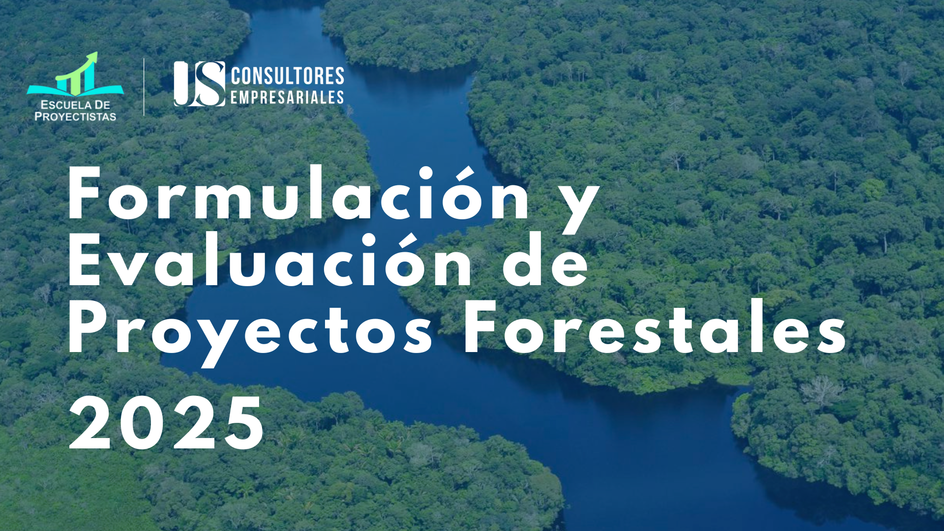 Formulación y evaluación de proyectos de inversión forestales 2025